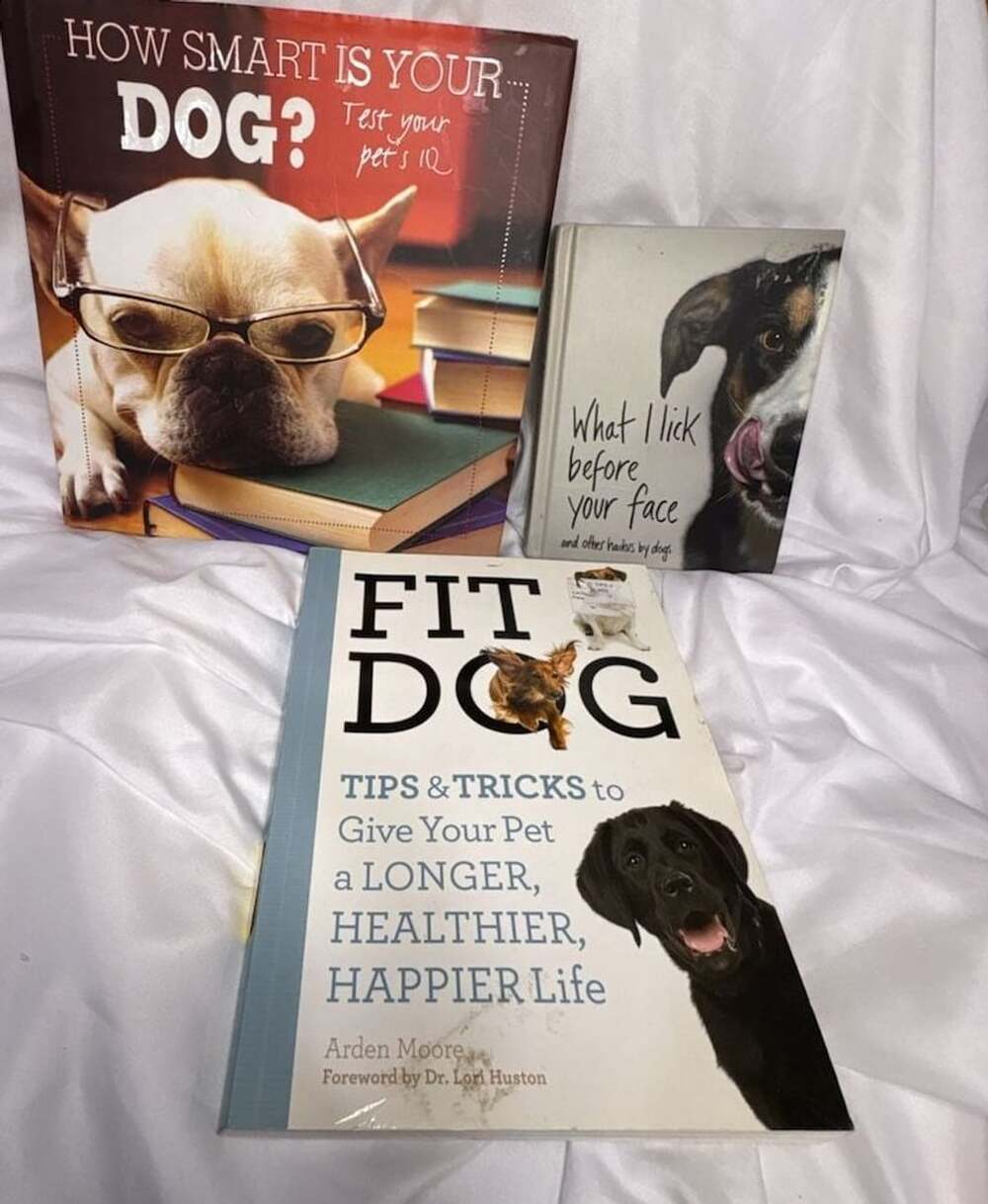 How Smart Is Your Dog? Fit Dog & What I lick before your face. Lot of 3 books
